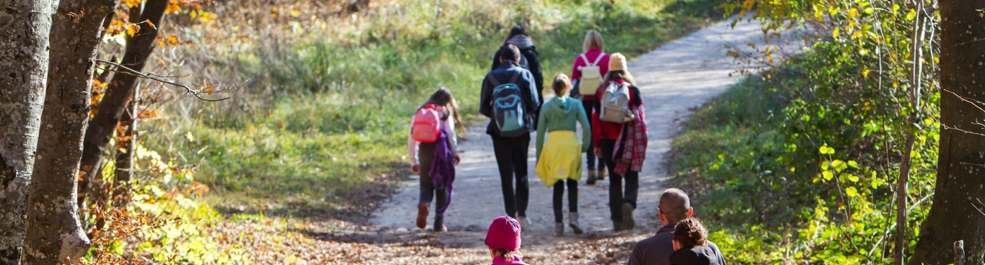 Bolton Road Walks 5k in April