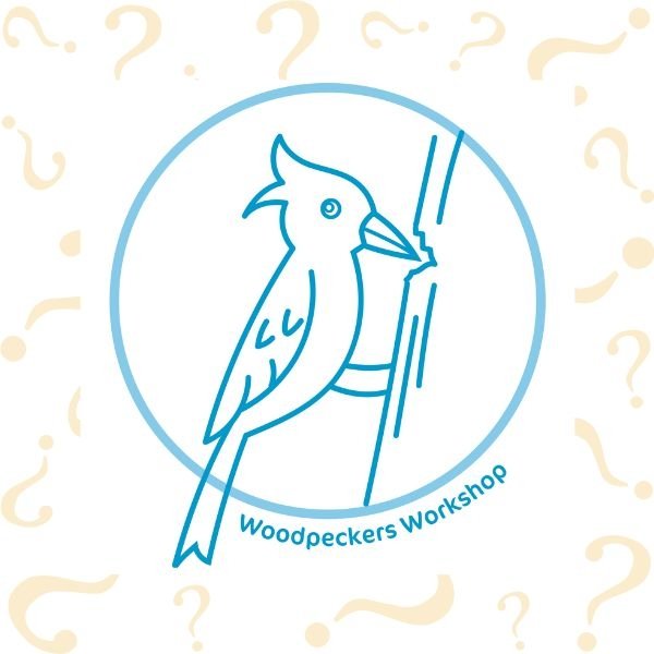 Opening: Woodpeckers Workshop