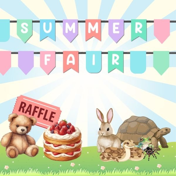 Elmhurst Summer Fair