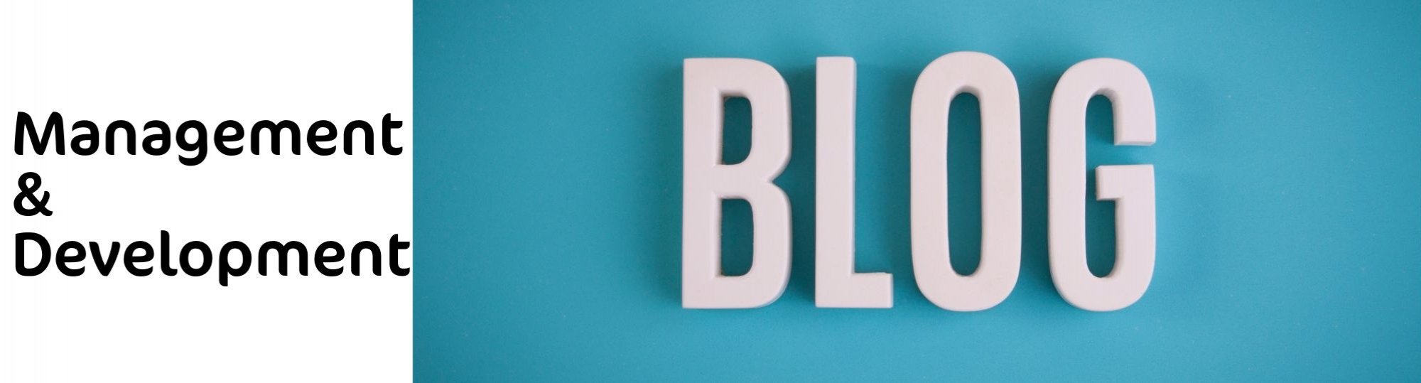 turquoise background with grey text: blog. Text to left reads management & development