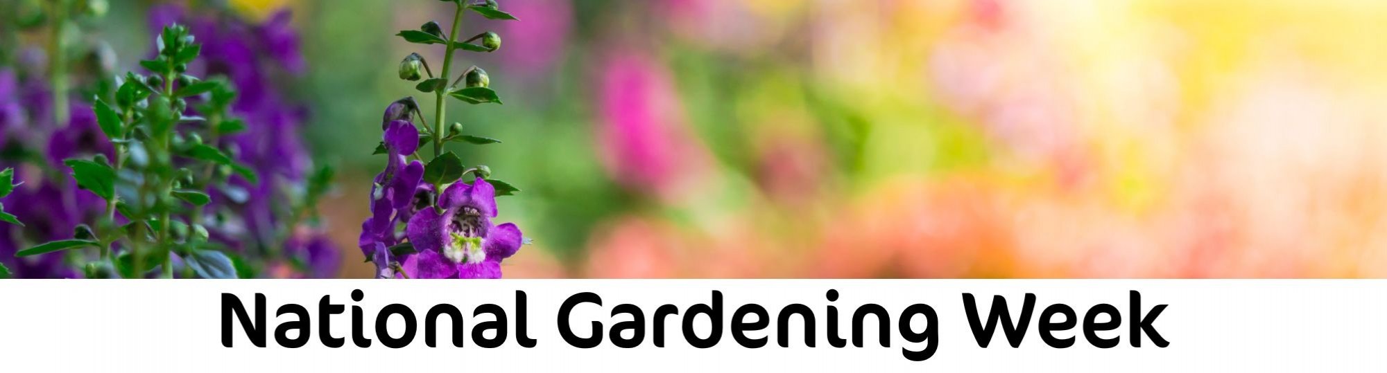 National Gardening Week 2025