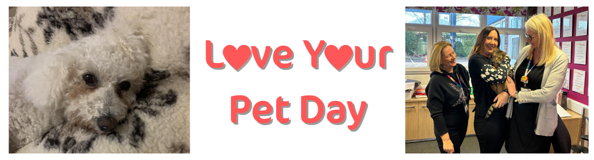 Love Your Pet Day