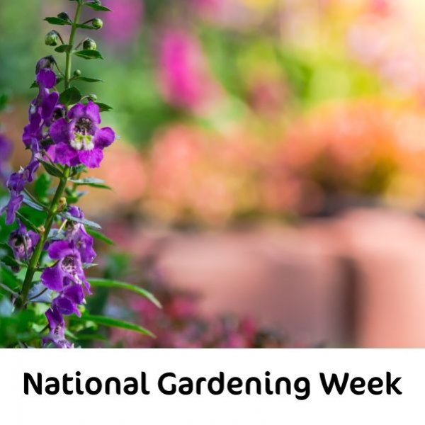 National Gardening Week 2025