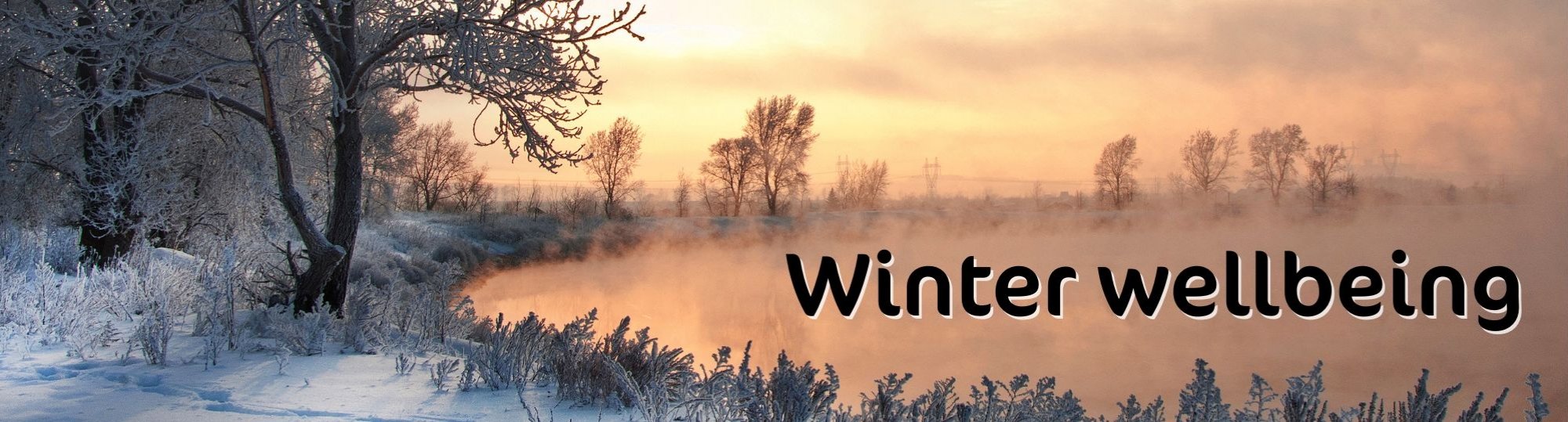 photo of a winter sunset beyond snowy trees and fields and an icy river