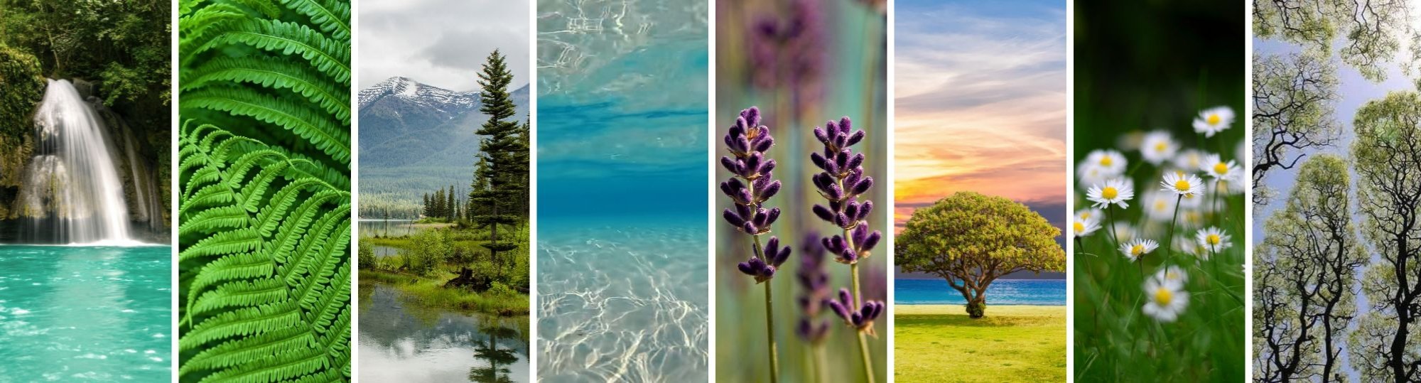Connect with nature this season