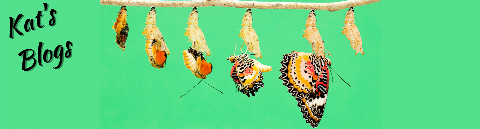 Kat's Blogs - why transformation may not be the way forward