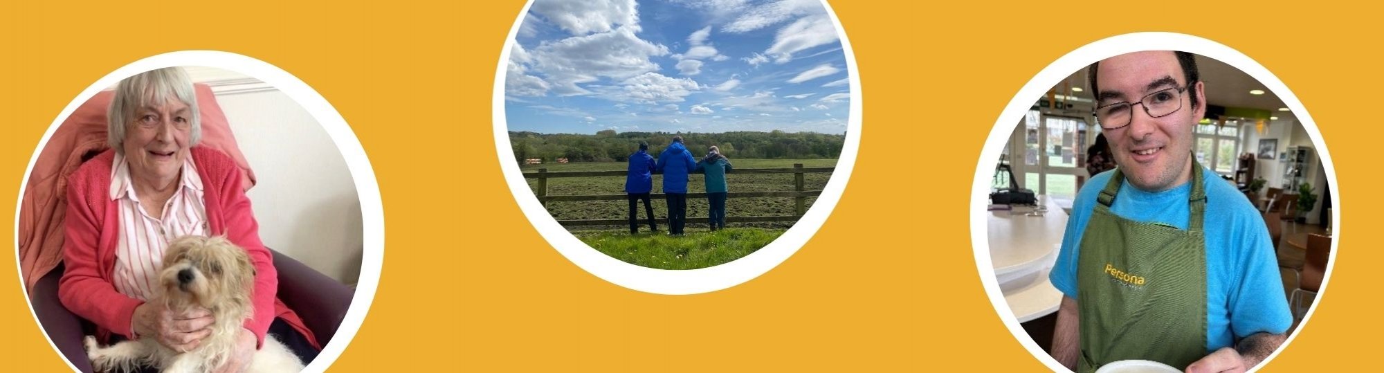Work Experience, Placements and Volunteering