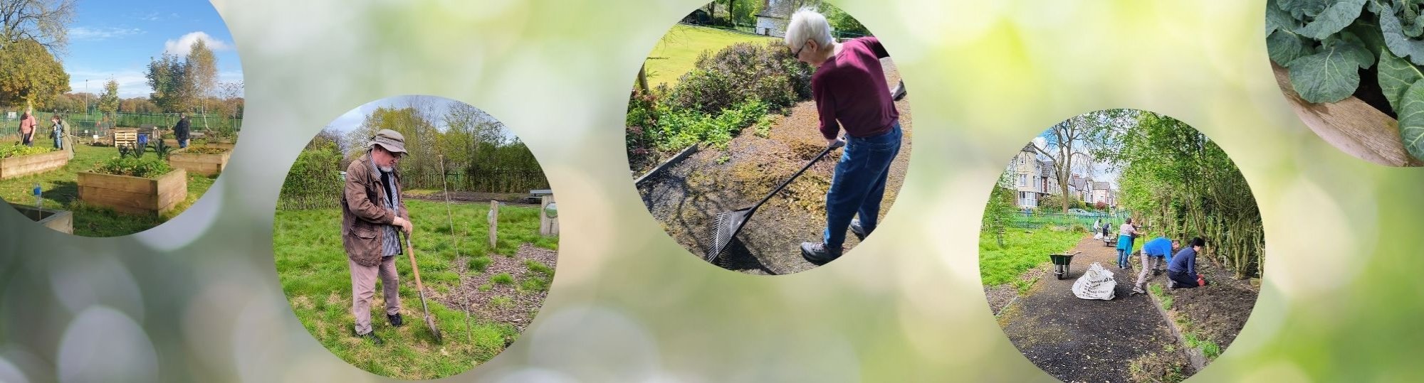The Green Community Garden