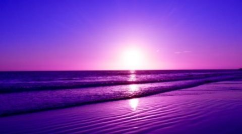 Persona & Shared Lives Wellbeing Sessions